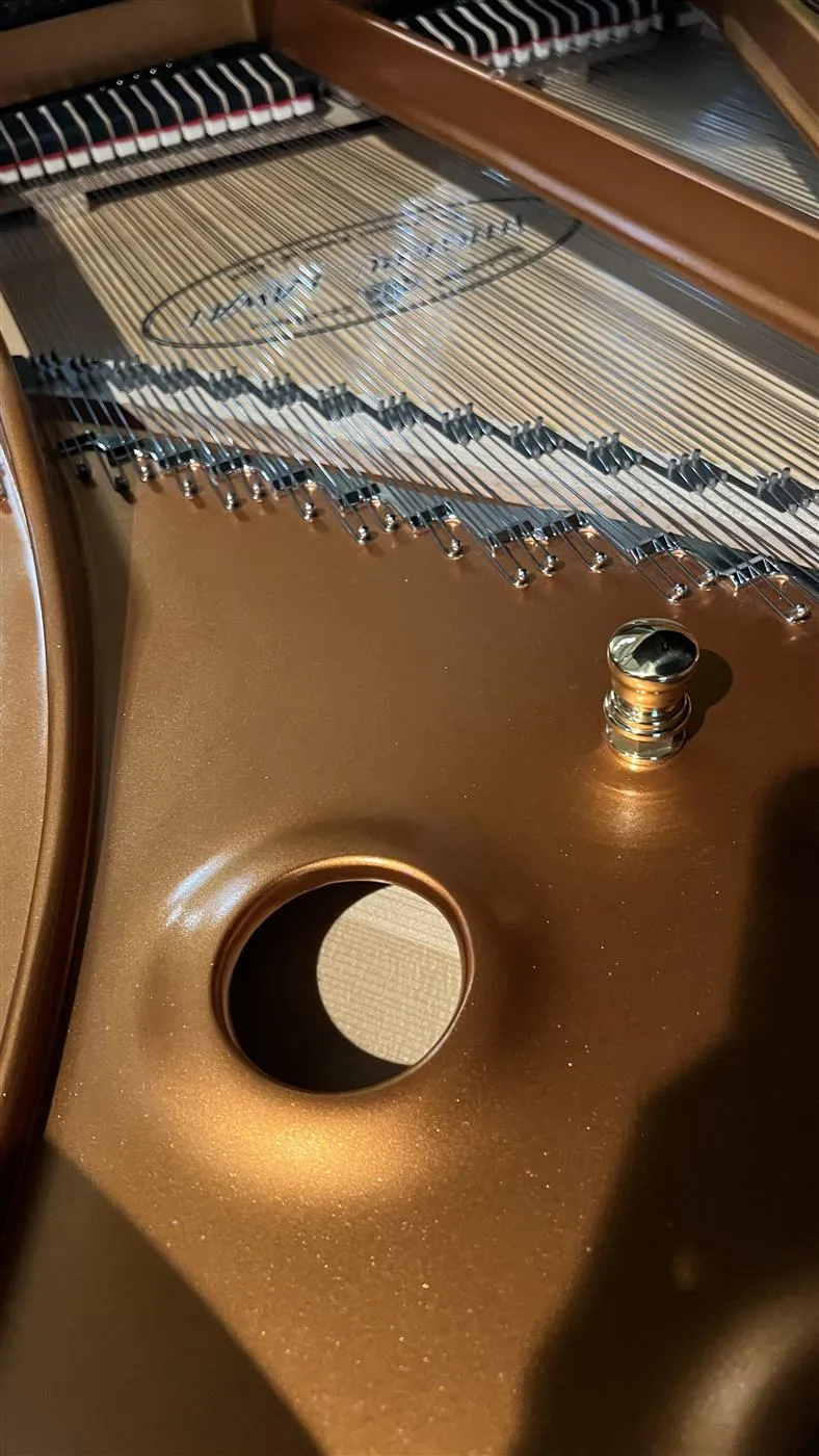 Fonds Or en Cash - cordes de piano